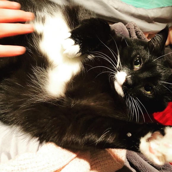 Meet your Posher, Natalya - Picture 2 of 2